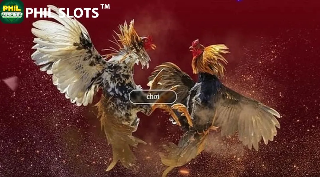 Discover exceptional features and premium benefits