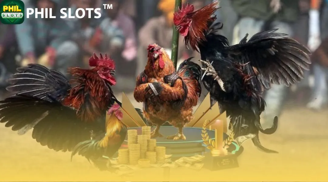 DS88 Overview of Online Sabong