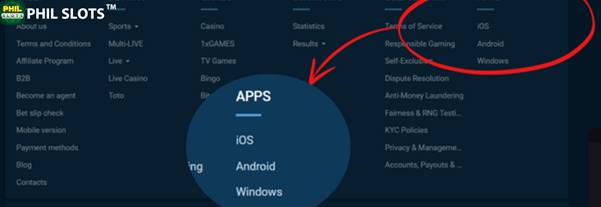 Step 1: Access the official website through mobile browser
