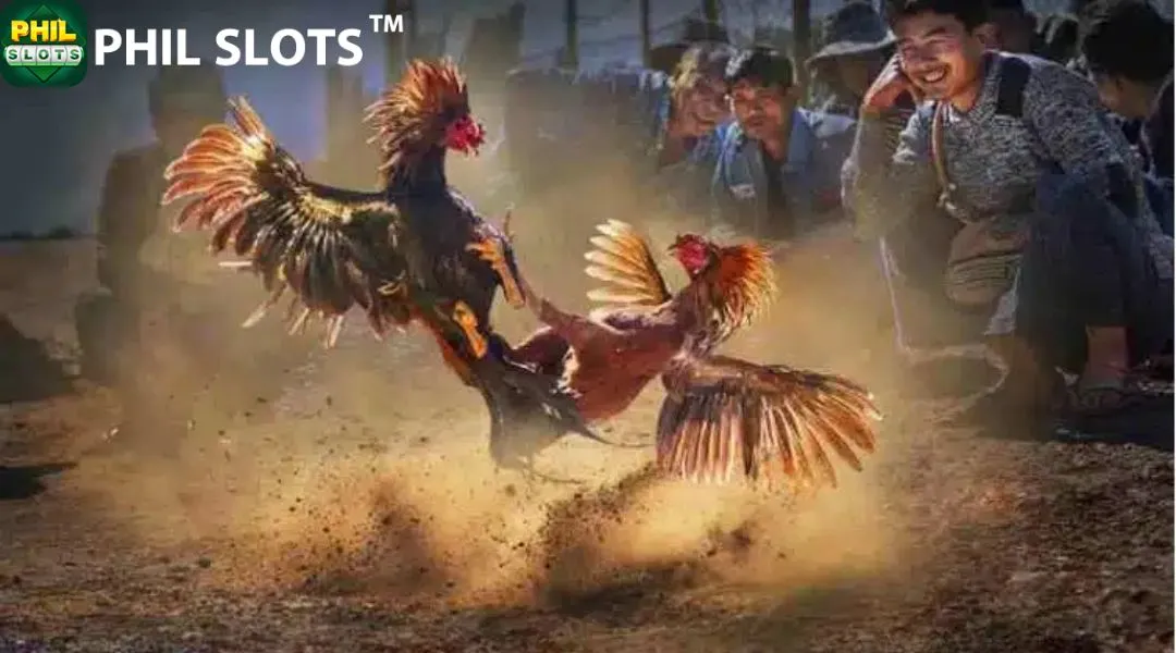 Master winning techniques and proven methods